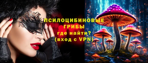скорость Алзамай