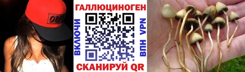 наркошоп  Тула  Галлюциногенные грибы Magic Shrooms 